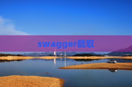 swagger截取