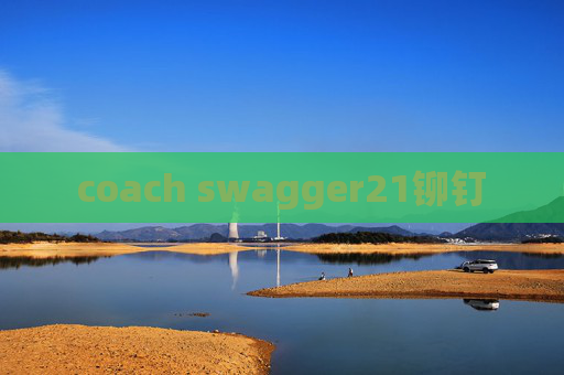coach swagger21铆钉